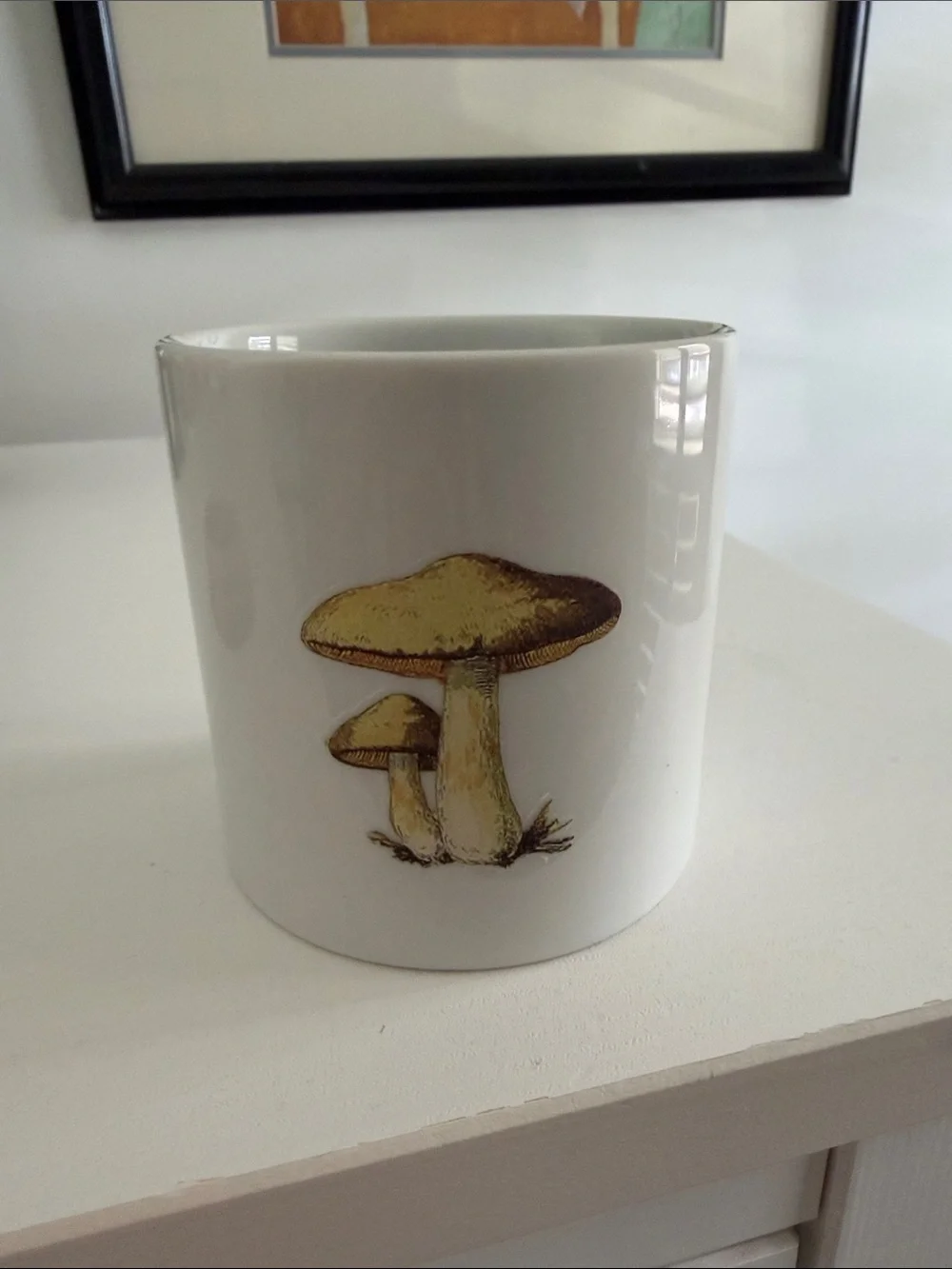 White Ceramic Kitchen Canister with Brown Mushroom Graphic and Wood Lid